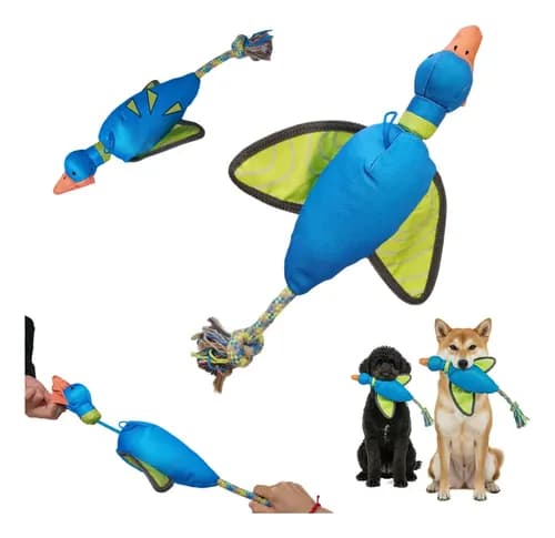 Juguete Interactivo Tirar Cuerda Con Forma Pájaro Perros M