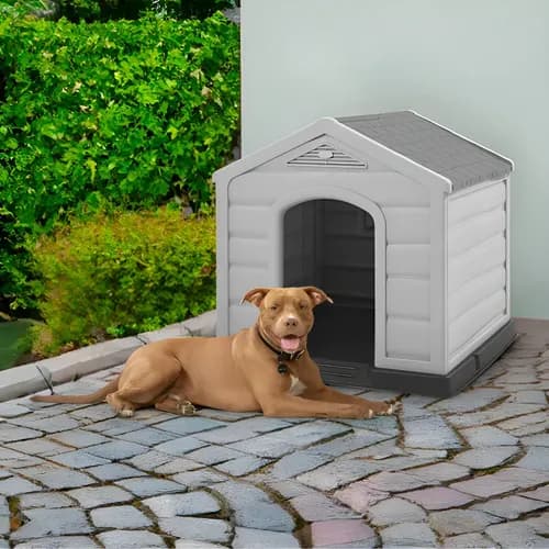 Casa Hogar Ideal Perro Raza Mediana
