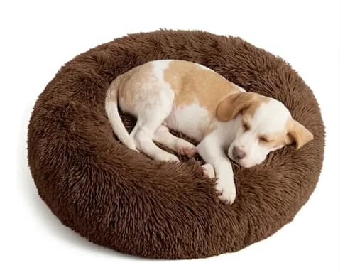 Cama Para Perro, Cama Para Gatos 50cm