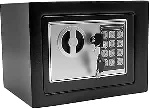 Raganet, Caja fuerte de Seguridad Digital de Contraseña, Acero Reforzado, Medidas: 23cm X 17cm X