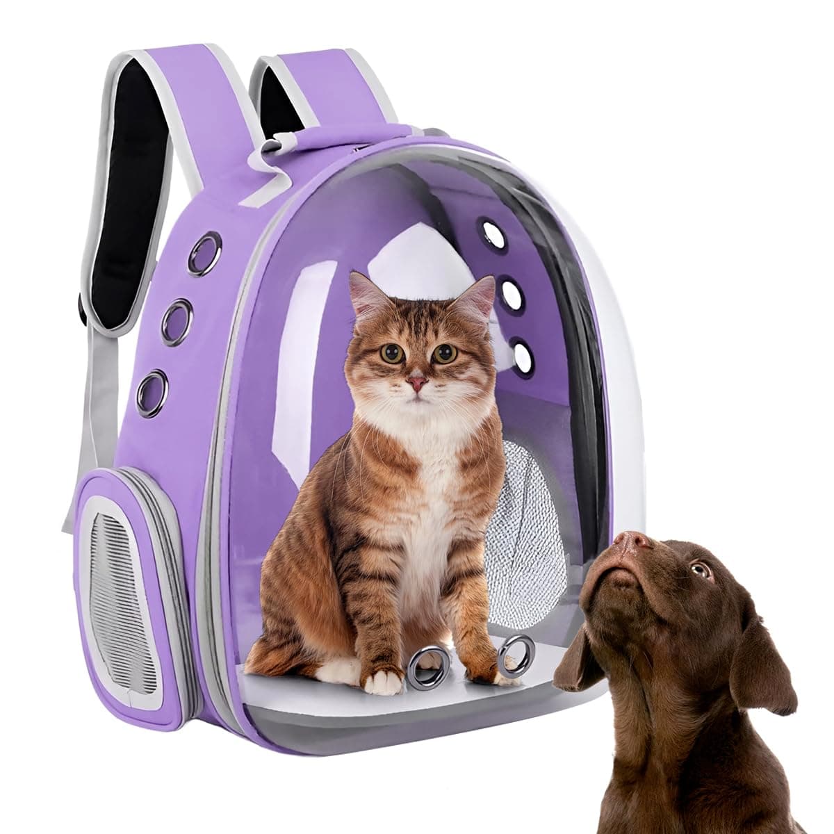 Raganet, Mochila Transportadora de Mascotas, Perros y Gatos, Back Pack Portátil para Mascota