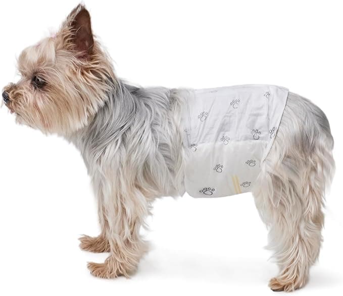 Amazon Basics Pañales para Perro Macho