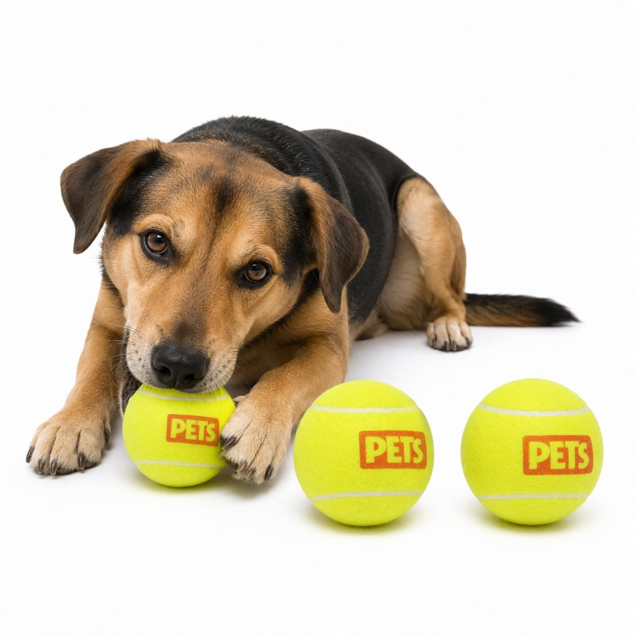Fancy Pets Juguete Pelota Tamaño Mediana de Tenis Bicolor