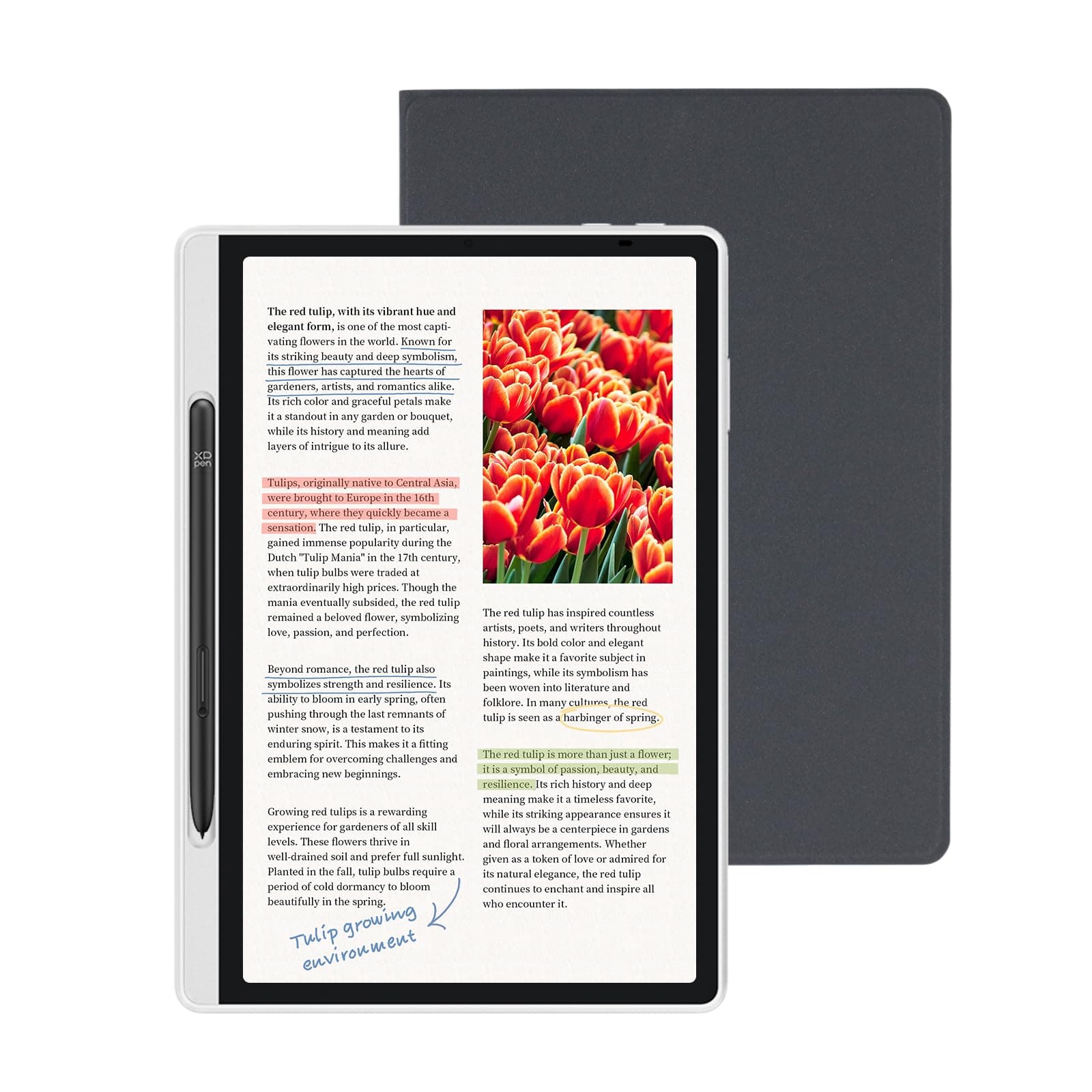XPPen Magic Note Pad: 6GB+128GB Tablet Android 14 8000mAh 16K Lápiz