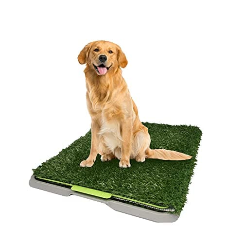 Fancy Pets Tapete de Entrenamiento para Perros Doggie Grass GDE
