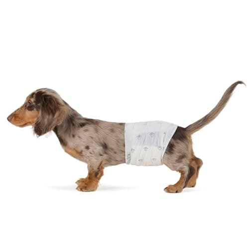 Amazon Basics - Pañales para perro macho
