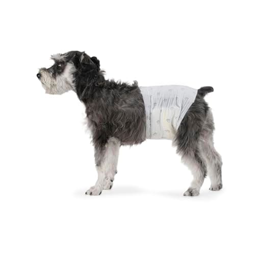 Amazon Basics - Pañales para perro macho
