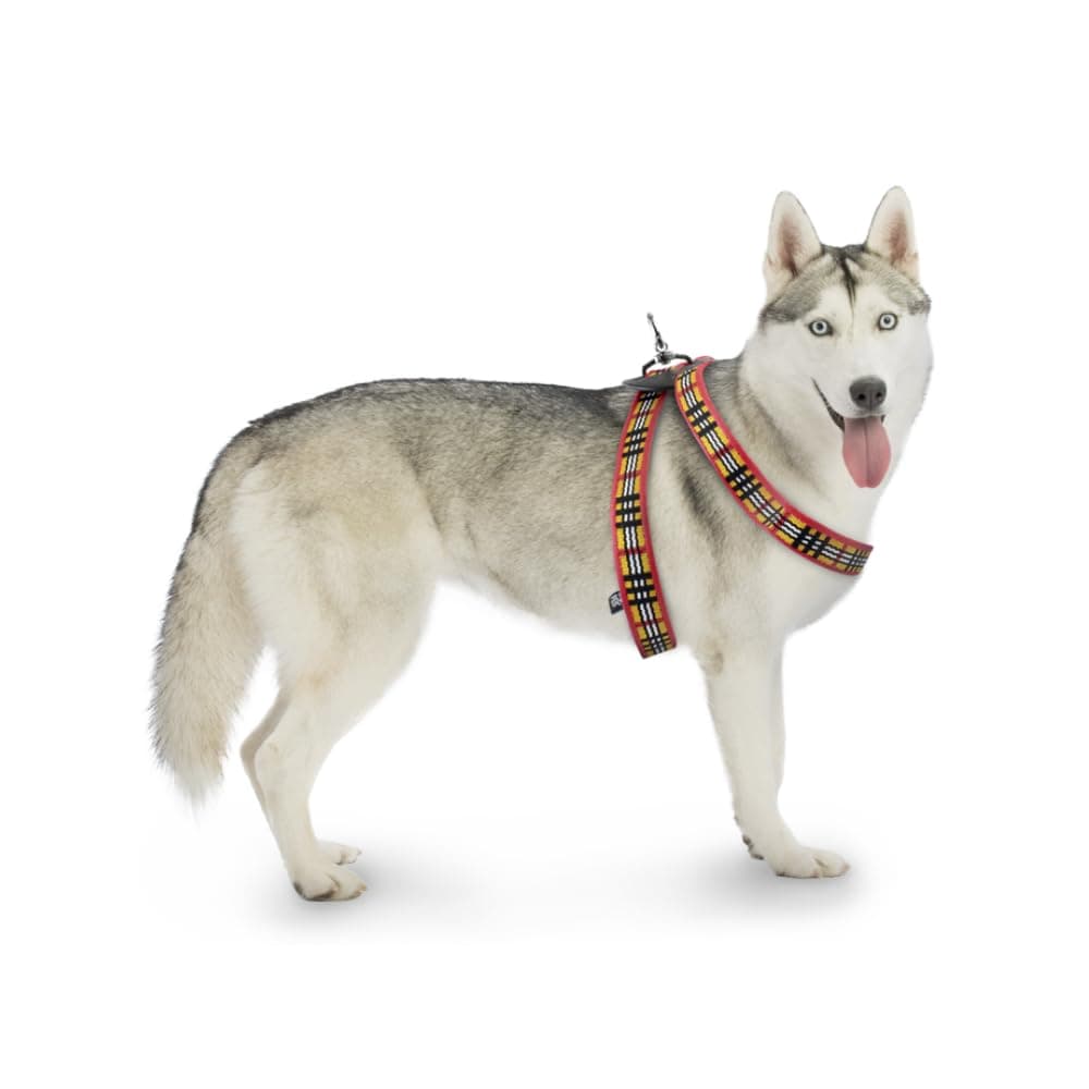 Fancy Pets Arnés Berrydog Grande