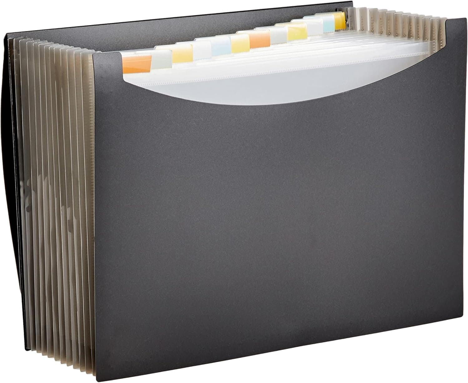 Amazon Basics - Carpeta de archivos organizadora expandible