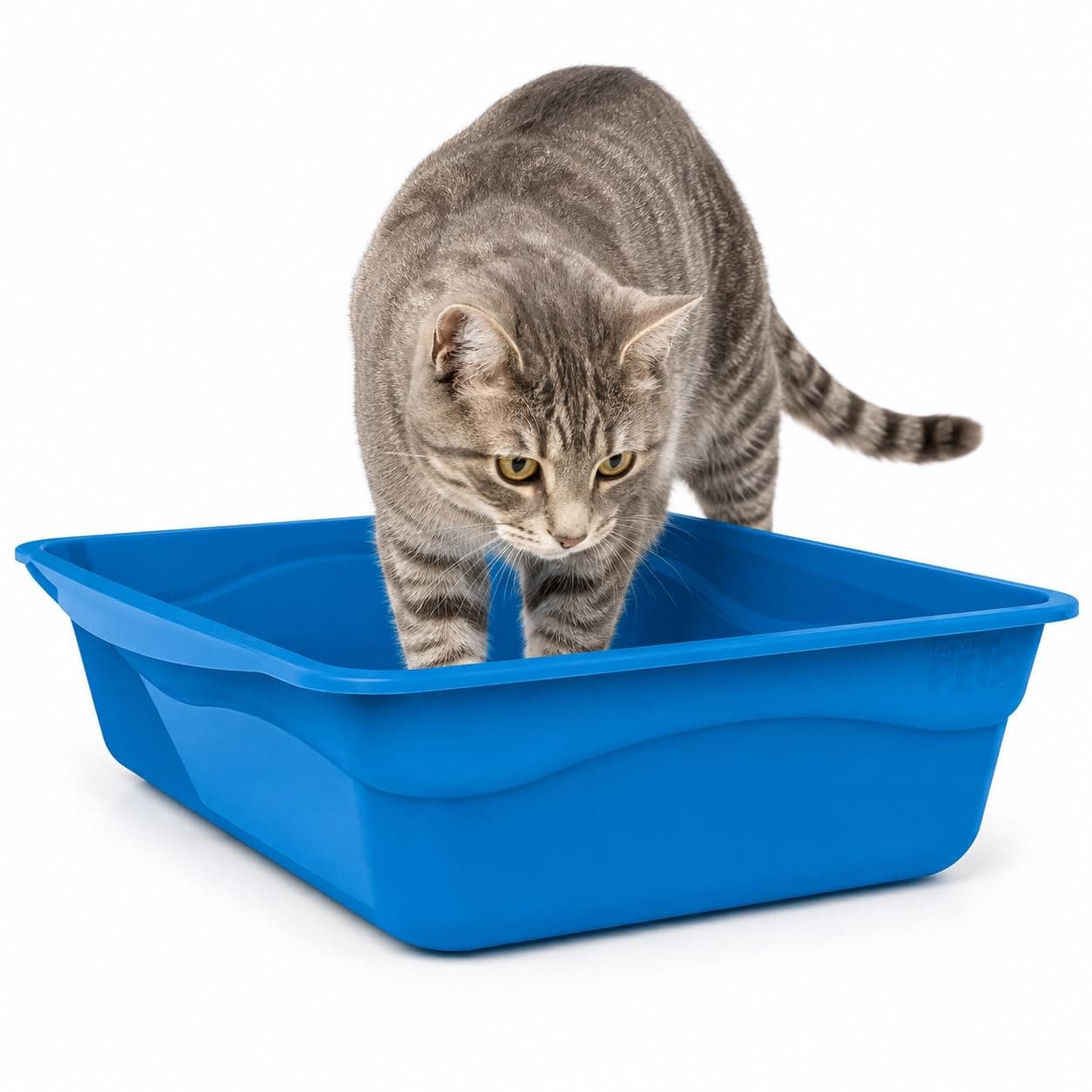 Fancy Pets Arenero Abierto Tamaño Mediano para Gato Colores Variados