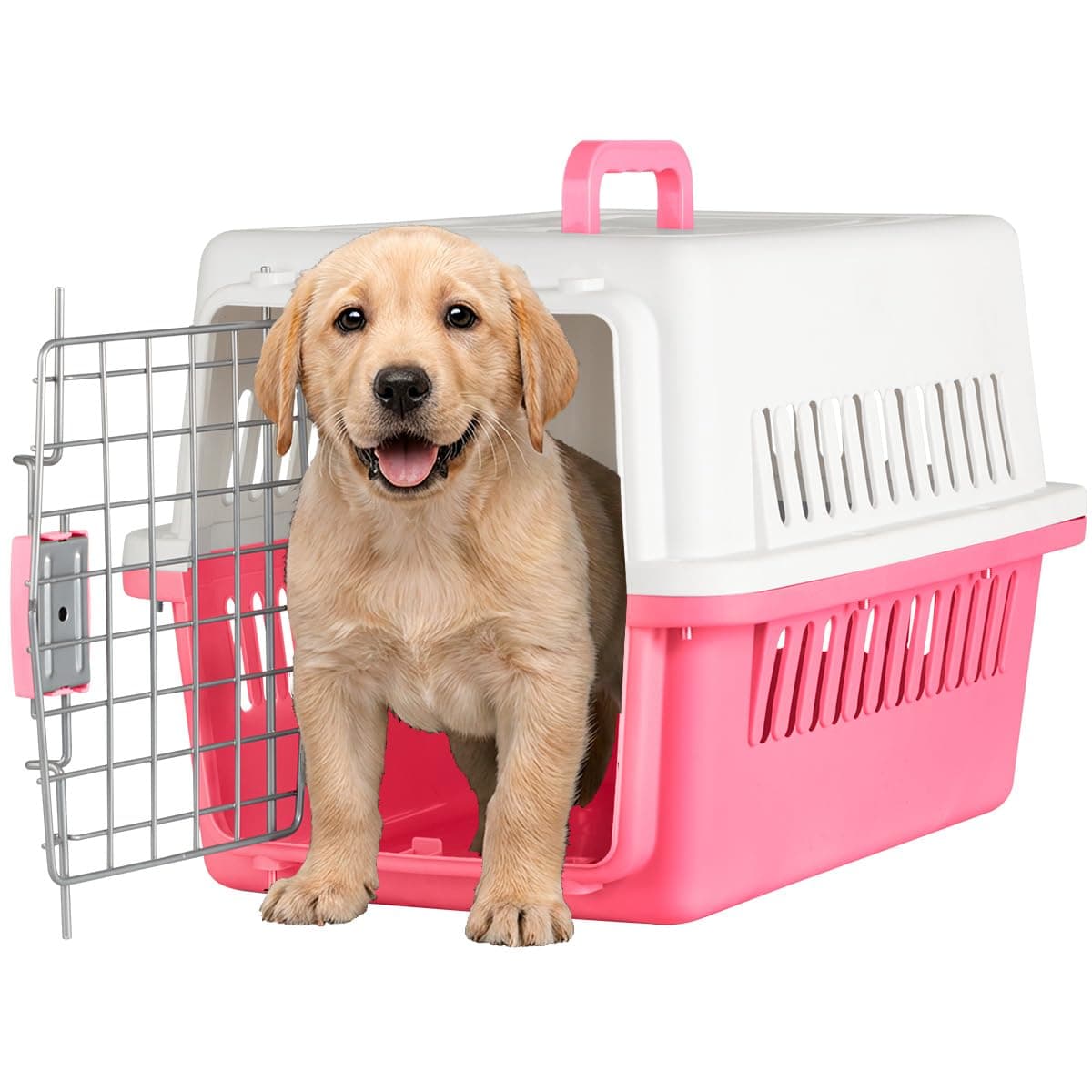 SELECTSHOP Jaula Transportadora para Gato Perro Caja de Viaje para Mascotas Jaulas para Viaje