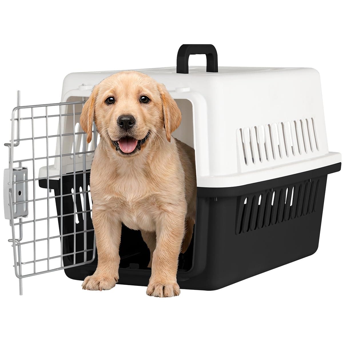 SELECTSHOP Jaula Transportadora para Gato Perro Caja de Viaje para Mascotas Jaulas para Viaje