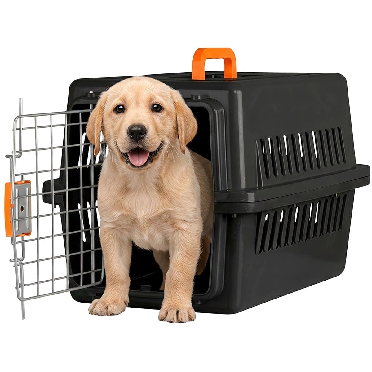 SELECTSHOP Jaula Transportadora para Gato Perro Caja de Viaje para Mascotas Jaulas para Viaje