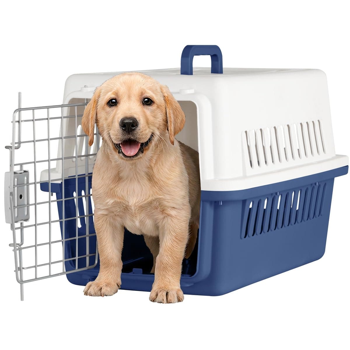 SELECTSHOP Jaula Transportadora para Gato Perro Caja de Viaje para Mascotas Jaulas para Viaje
