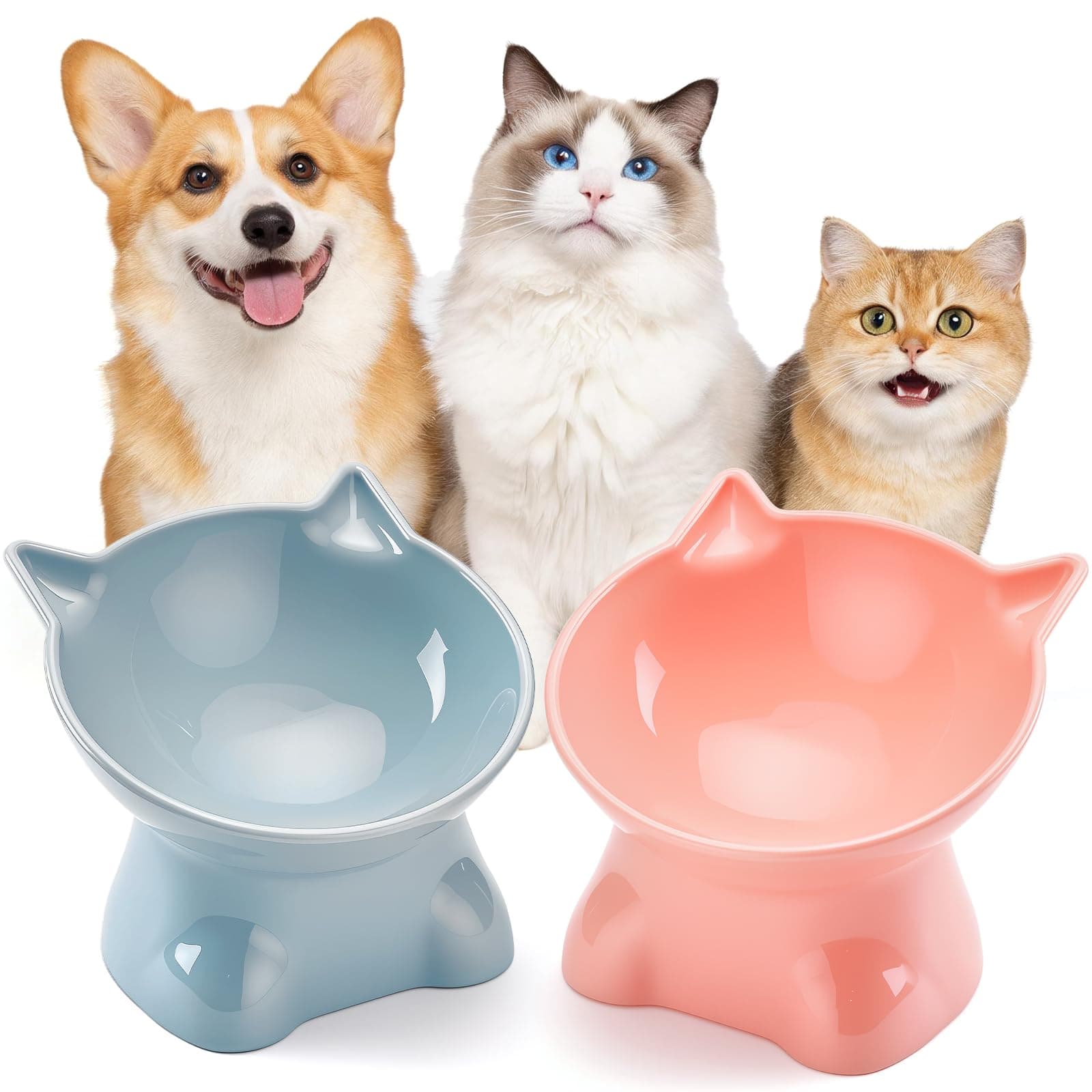 XJZWHN 2 Pcs Platos para Gato,Inclinable Tazón para Gatos