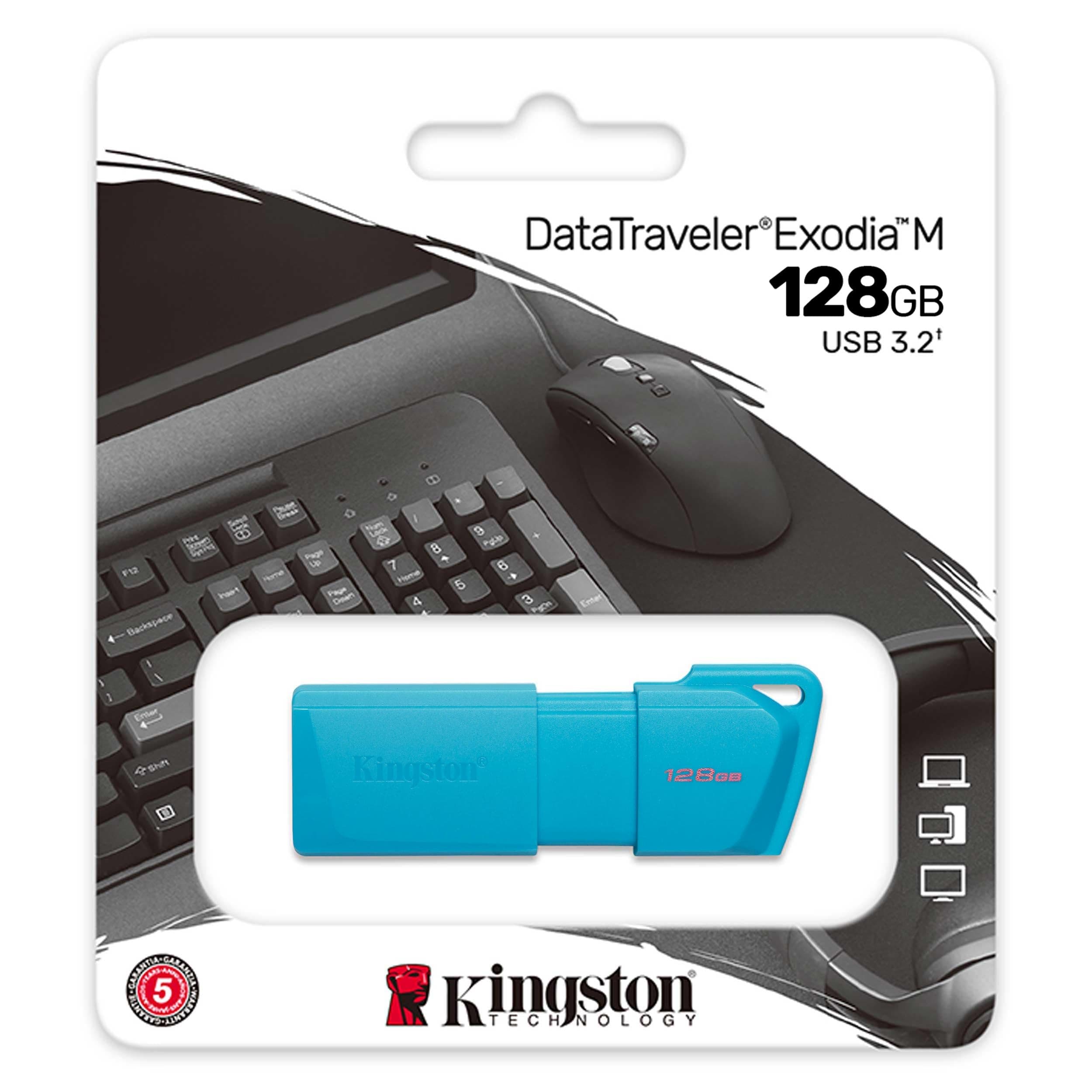 Kingston USB DataTraveler Exodia M