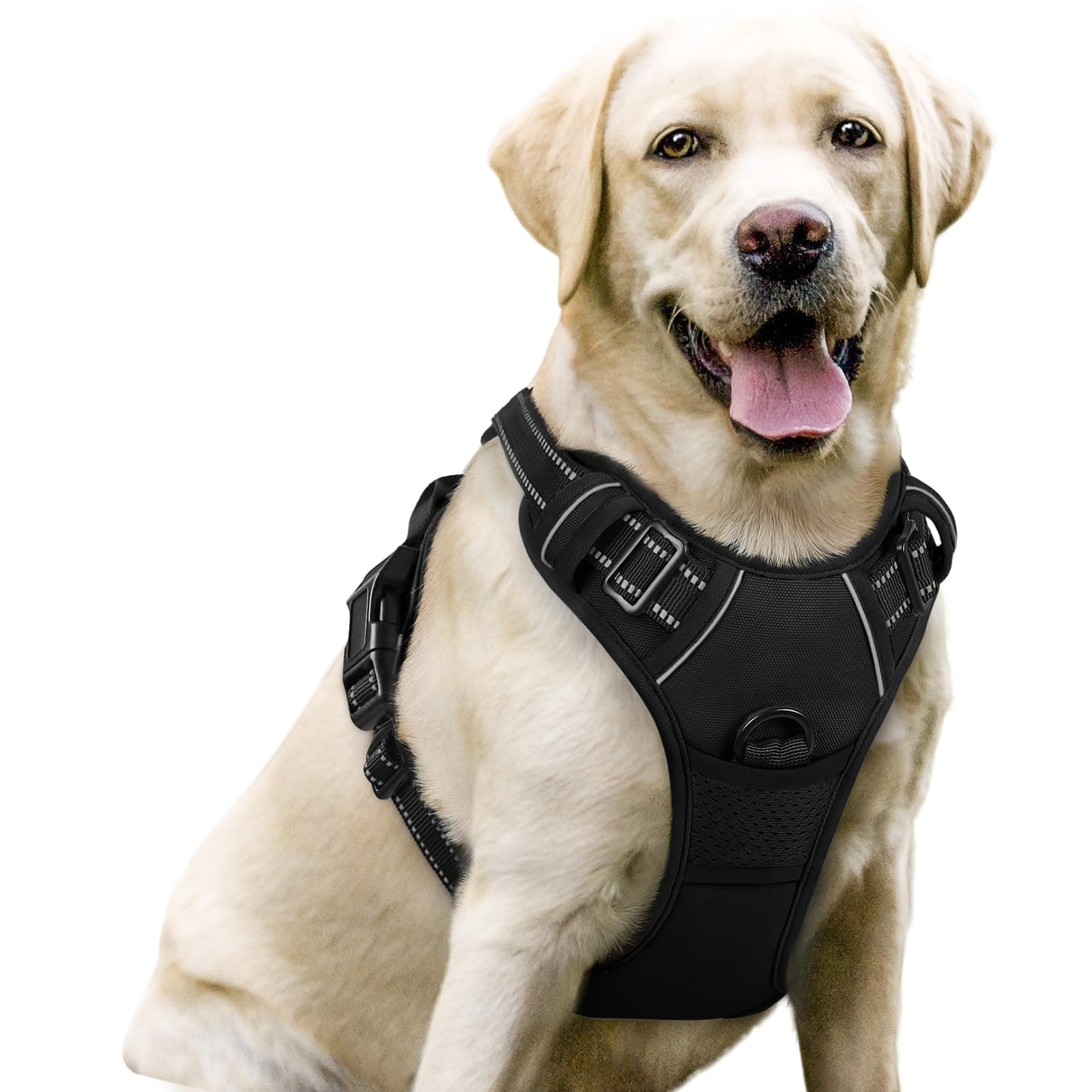 rabbitgoo Arnés para Perros de Talla Grande Mediana Pequeña