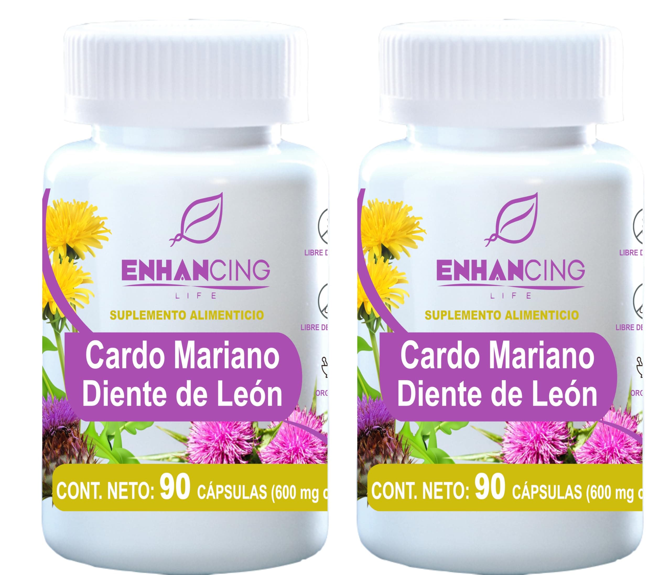 CARDO MARIANO Y DIENTE DE LEÓN PARA MÁXIMA ABSORCIÓN
