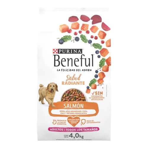 Beneful Purina Adulto Salud Radiante Salmón 4Kg