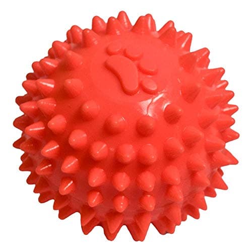 Fancy Pets Juguete para Perro Pelota de Caucho Spiny – Limpieza y Masaje de Encías