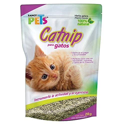 Fancy Pets Catnip para Gato o Hierba Gatera con 28 Gramos