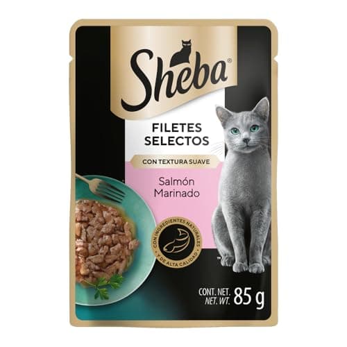 Sheba - Alimento Húmedo para Gato Adulto, Sabor Filetes De Salmón Marinado 85g c/u. Paquete de 24 Unidades, Sin Colorantes ni Sabores Artificiales